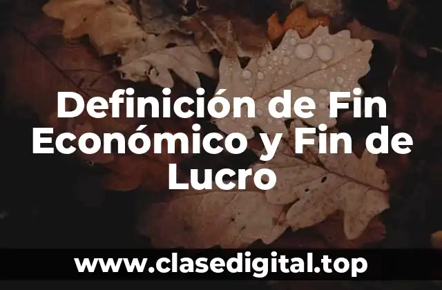 Definición de Fin Económico y Fin de Lucro