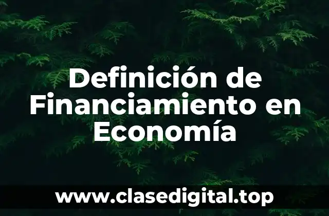 Definición de Financiamiento en Economía