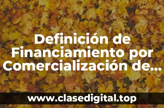 Definición de Financiamiento por Comercialización de Derivados Financieros