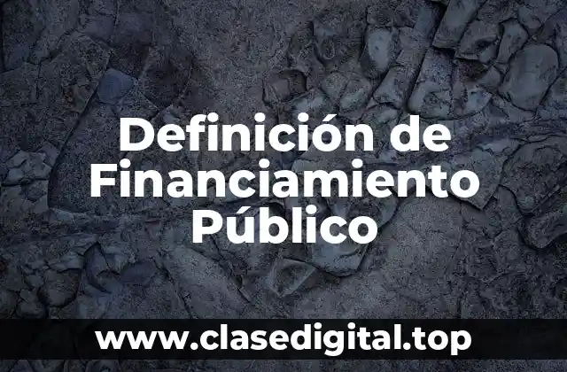 Definición de Financiamiento Público