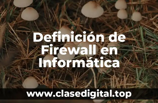 Definición de Firewall en Informática