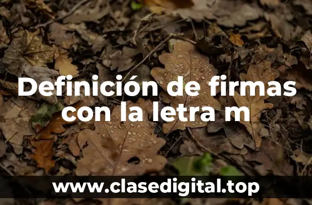 Definición de firmas con la letra m