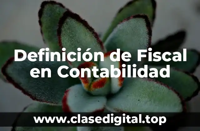 Definición de Fiscal en Contabilidad