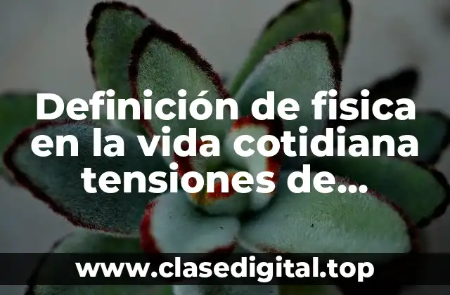 Ejemplos de fisica en la vida cotidiana tensiones de cuerdas