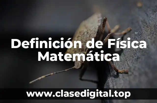 Definición de Física Matemática
