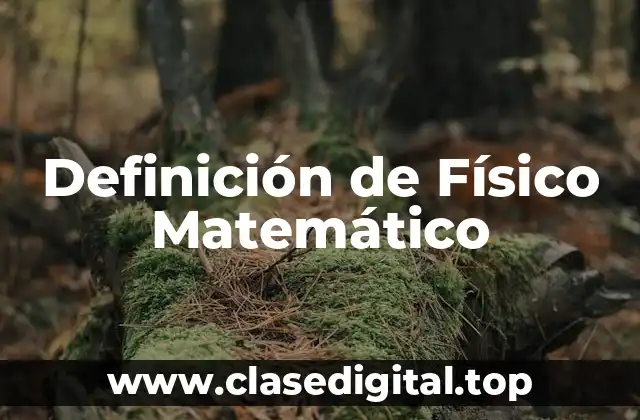 Definición de Físico Matemático