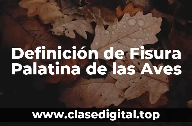 Definición de Fisura Palatina de las Aves
