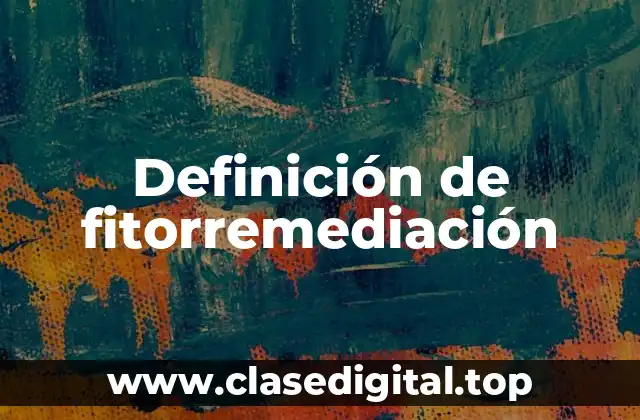 Definición de fitorremediación
