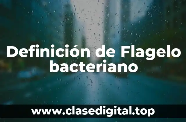 Definición de Flagelo bacteriano