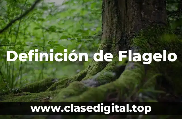 Definición de Flagelo