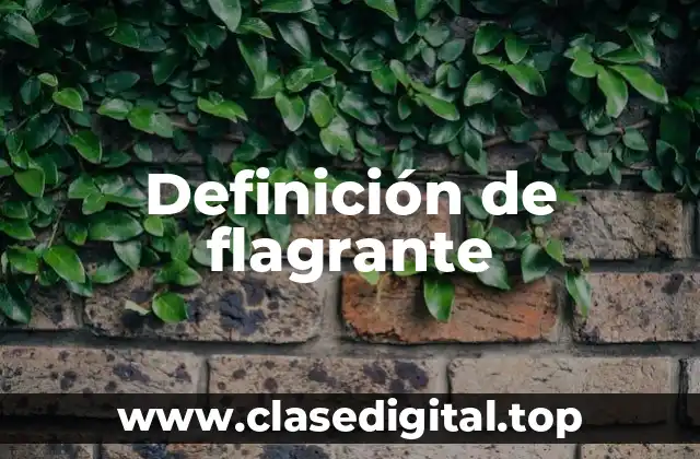 Definición de flagrante