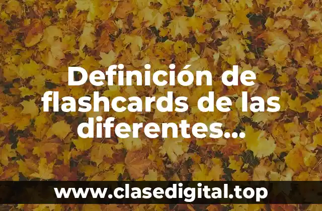 Definición de flashcards de las diferentes estaciones del año