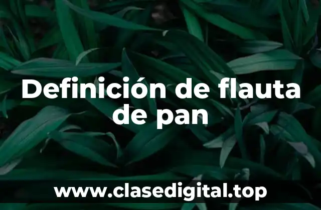 Definición de flauta de pan
