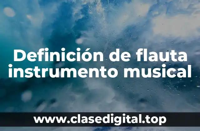 Definición de flauta instrumento musical