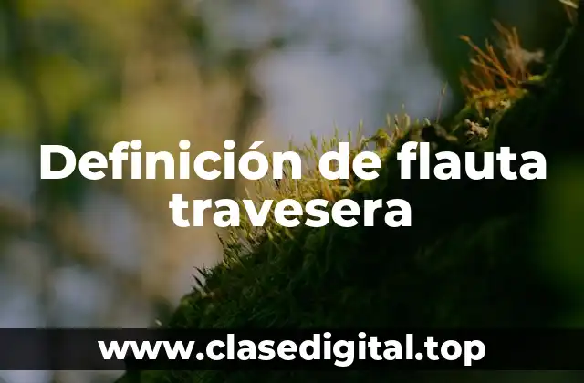 Definición de flauta travesera