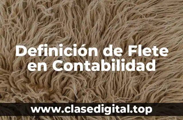 Definición de Flete en Contabilidad