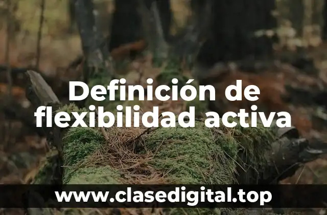 Ejemplos de flexibilidad activa