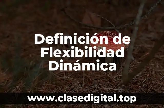Definición de Flexibilidad Dinámica