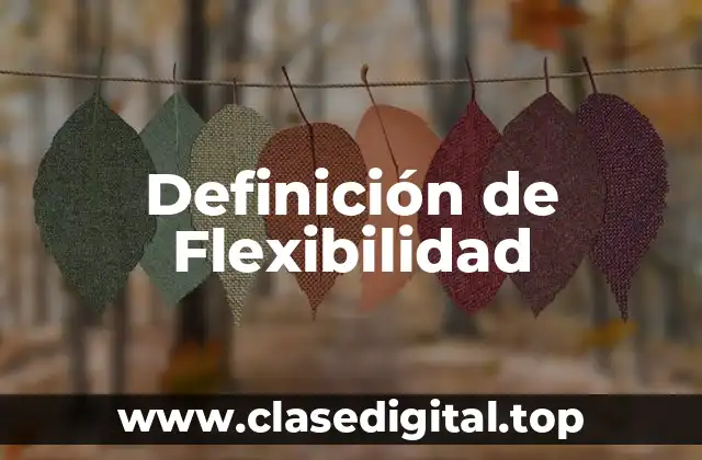 Definición de Flexibilidad