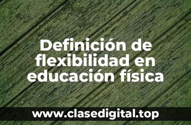 Definición técnica de flexibilidad en educación física
