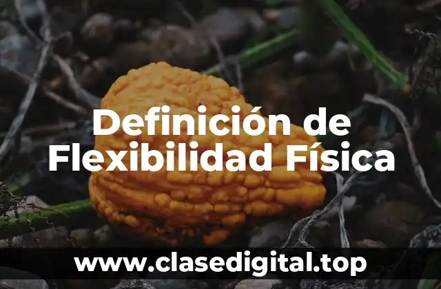 Definición de Flexibilidad Física