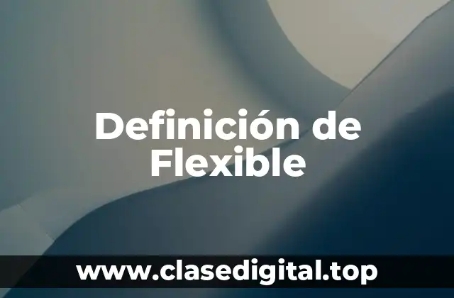 Definición de Flexible