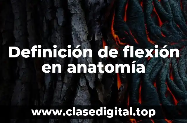 Definición de flexión en anatomía