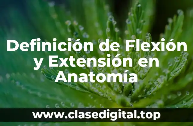Definición de Flexión y Extensión en Anatomía