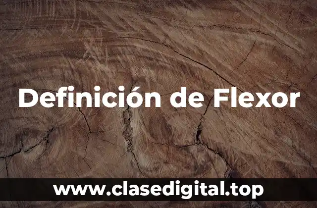 Definición de Flexor