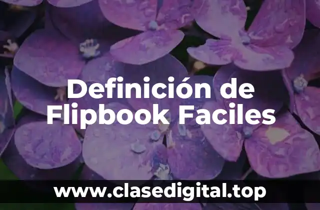 Definición de Flipbook Faciles