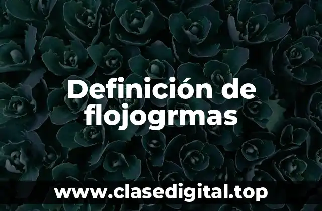 Definición de flojogrmas