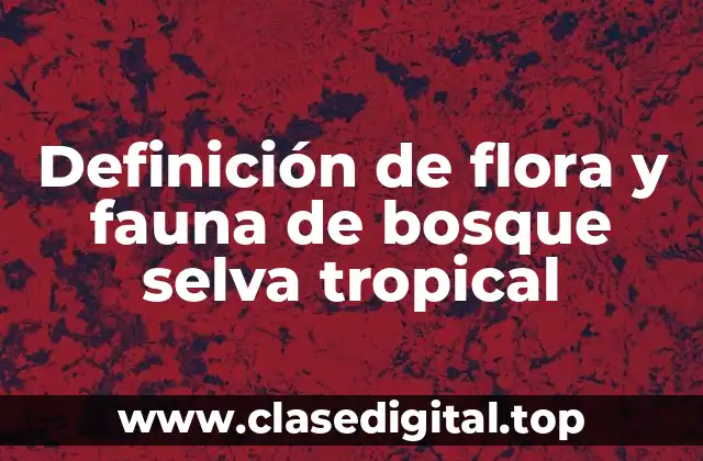 Definición de flora y fauna de bosque selva tropical