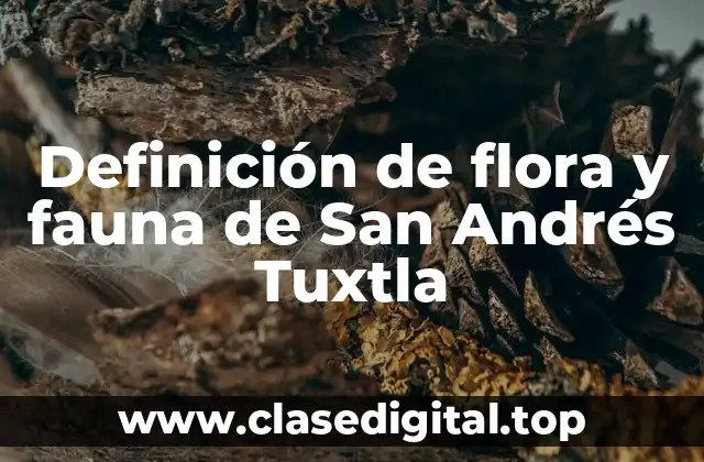 Ejemplos de flora de San Andrés Tuxtla