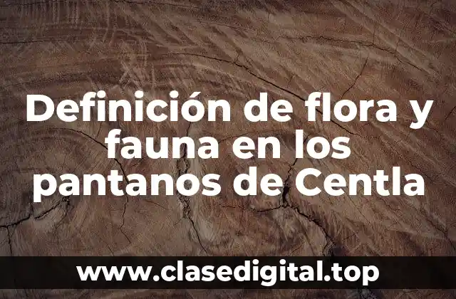 Definición de flora y fauna en los pantanos de Centla