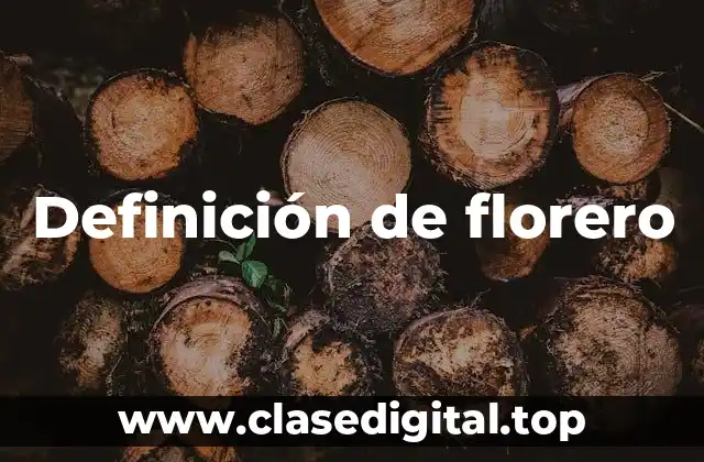 Definición de florero
