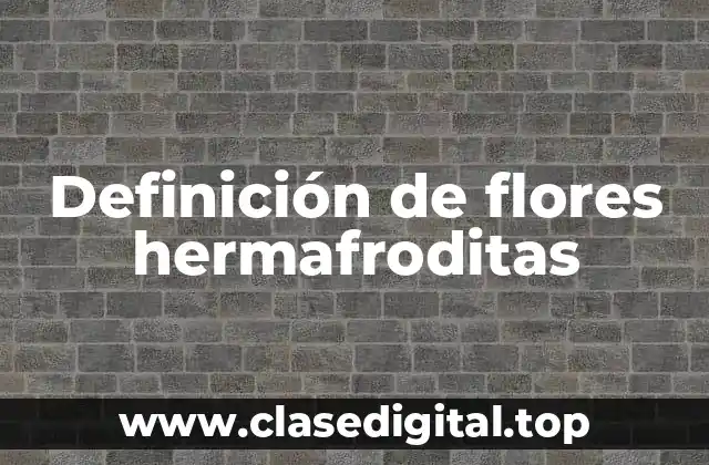 Definición de flores hermafroditas