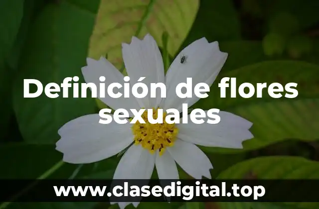 Ejemplos de flores sexuales