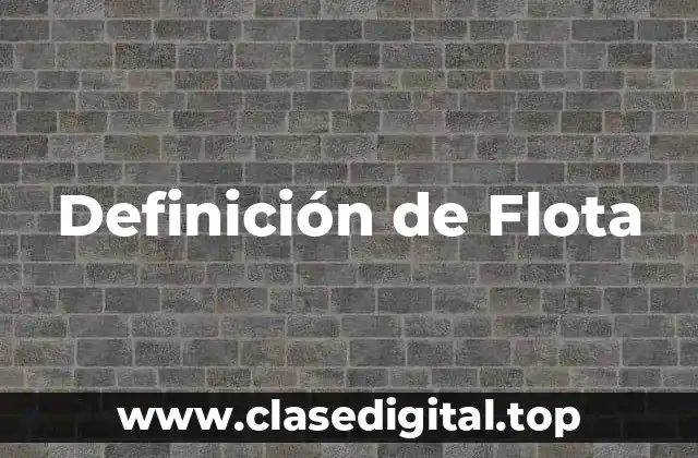 Definición técnica de Flota