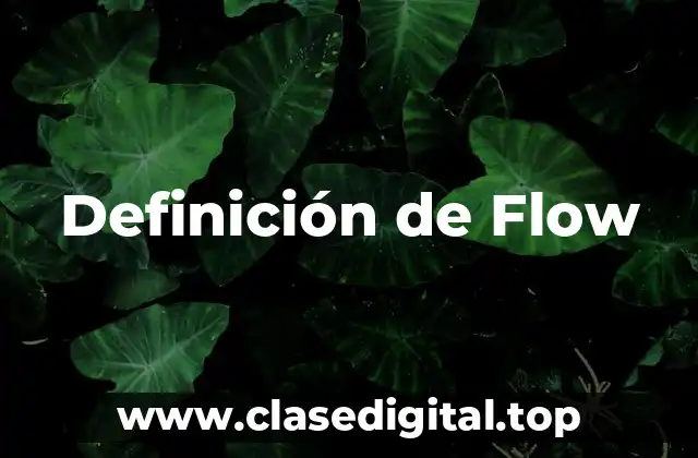 Definición de Flow