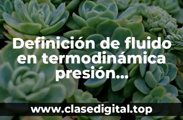 Definición de fluido en termodinámica presión hidroestática