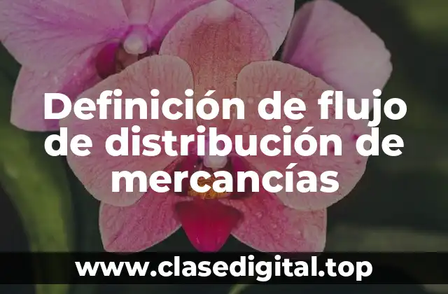 Definición técnica de flujo de distribución de mercancías