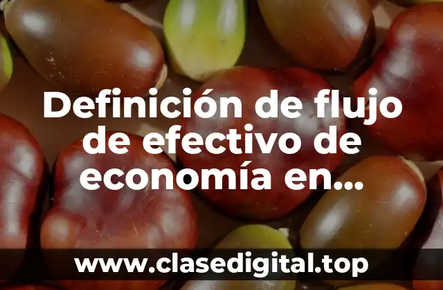 Definición de flujo de efectivo de economía en economía