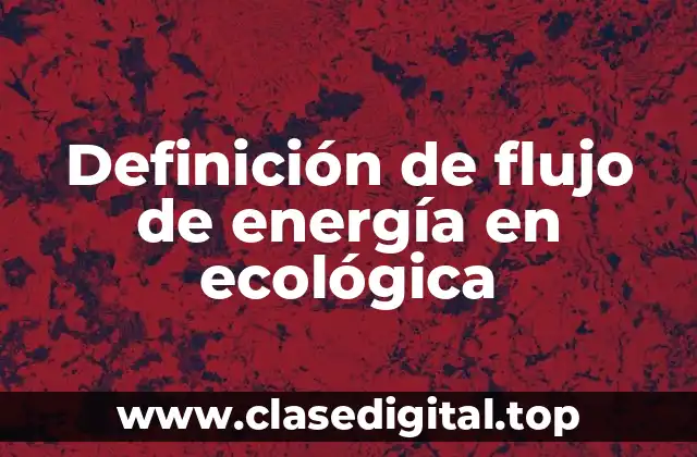 Definición de flujo de energía en ecológica