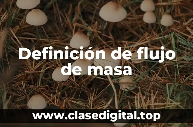 Definición técnica de flujo de masa