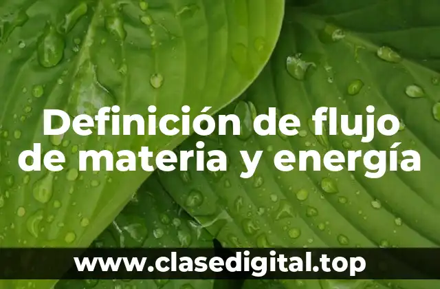 Definición de flujo de materia y energía