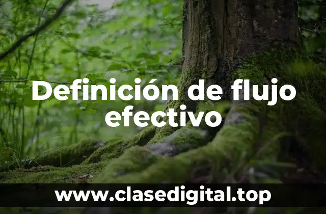 Definición de flujo efectivo