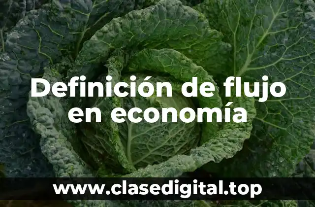 Definición de flujo en economía