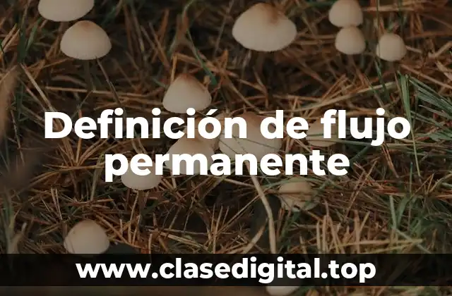 Ejemplos de flujo permanente