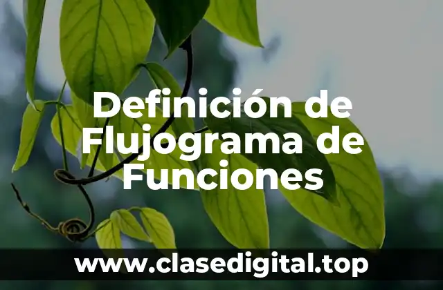 Definición de Flujograma de Funciones
