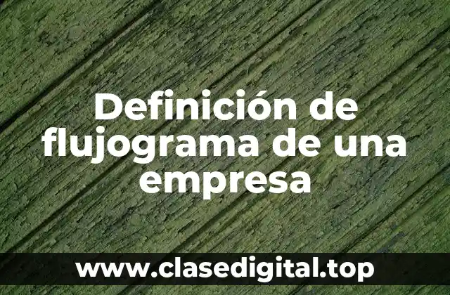 Definición de flujograma de una empresa